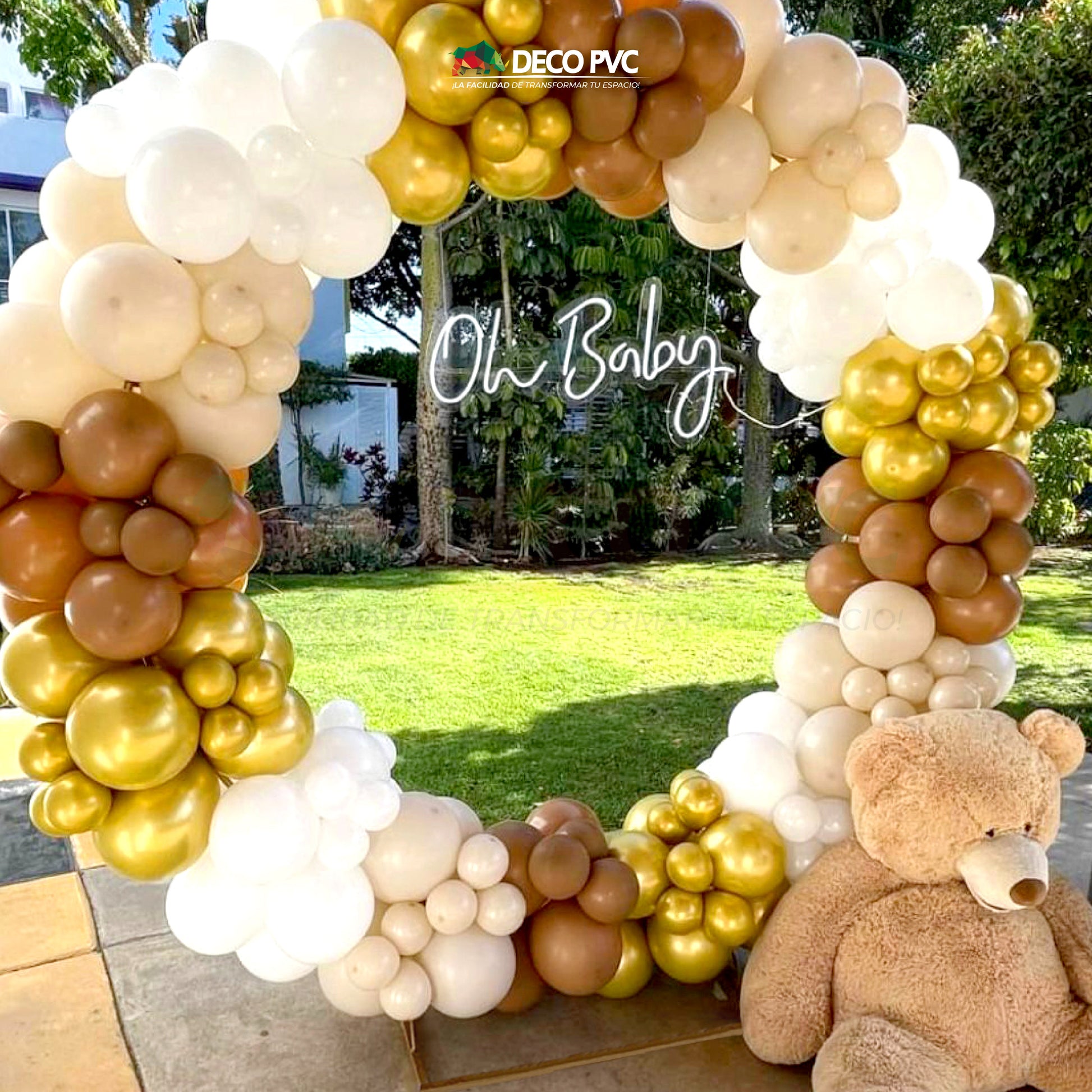 Backdrop Redondo / 1pz / 2m