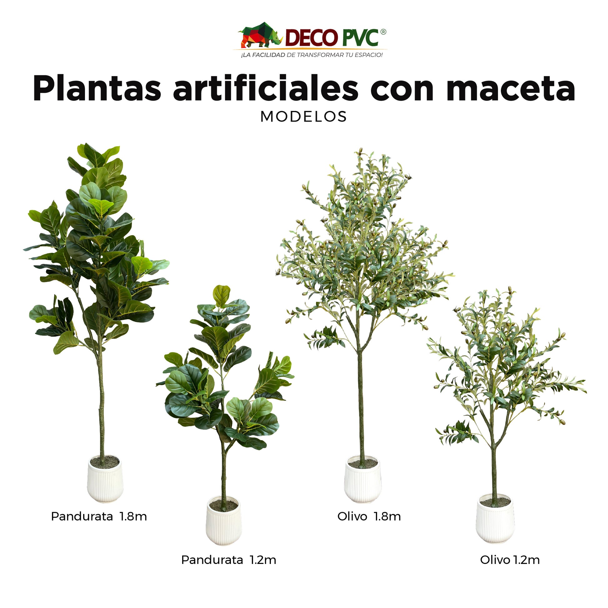 Planta Olivo con maceta - DECOFLORA®