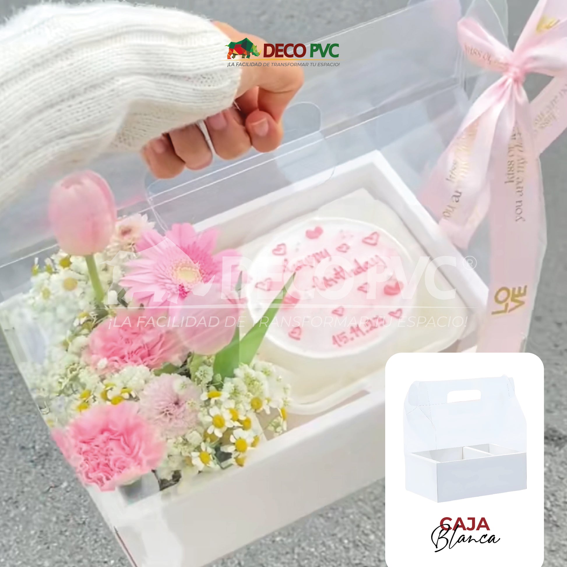 Set de cajas para pastel transparente / 5pzas