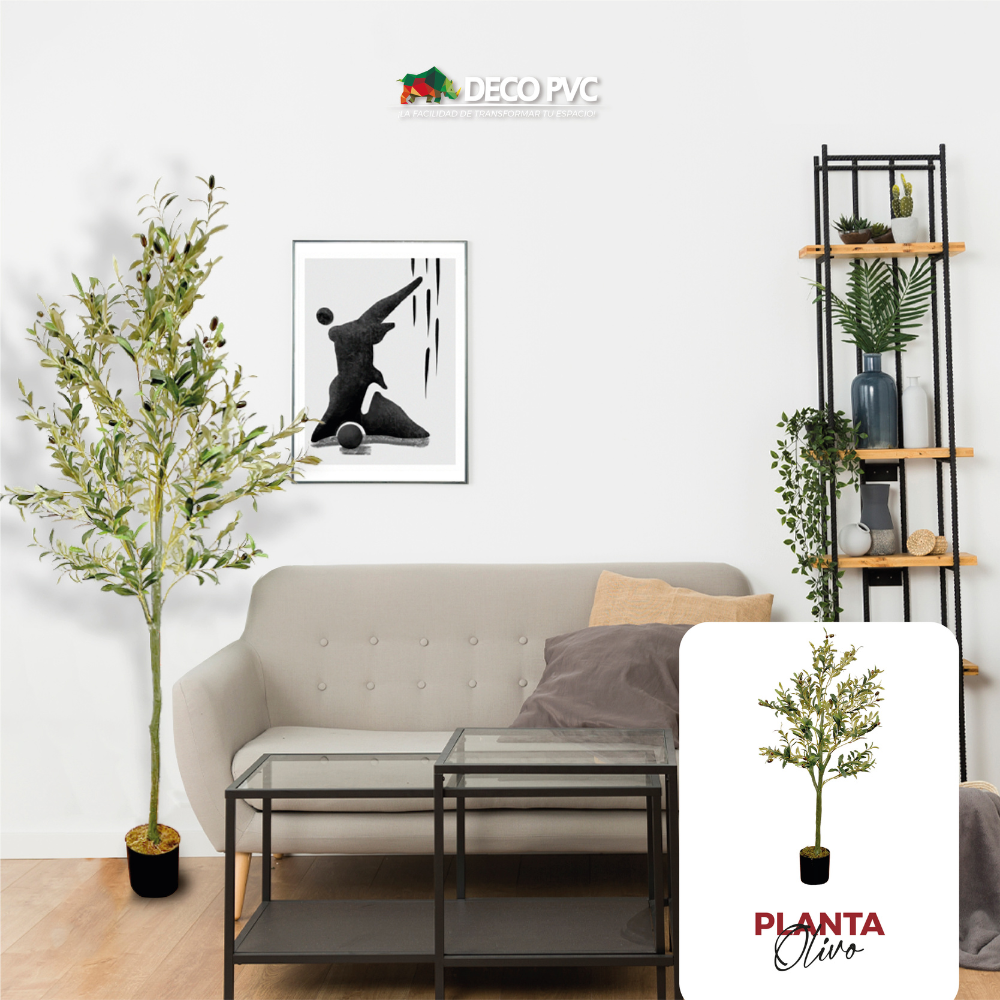 Planta Olivo - DECOFLORA®