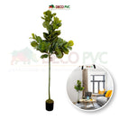 Planta Pandurata - DECOFLORA®1.80m