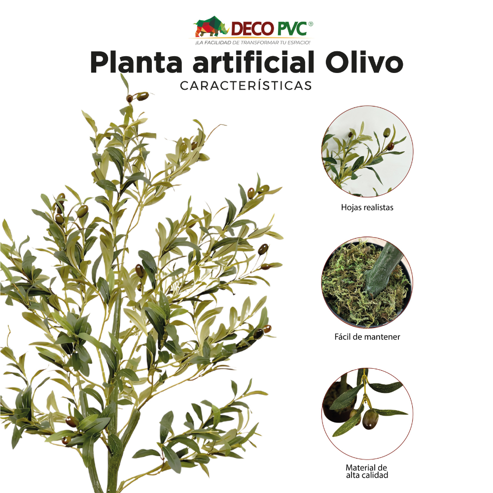 Planta Olivo - DECOFLORA®