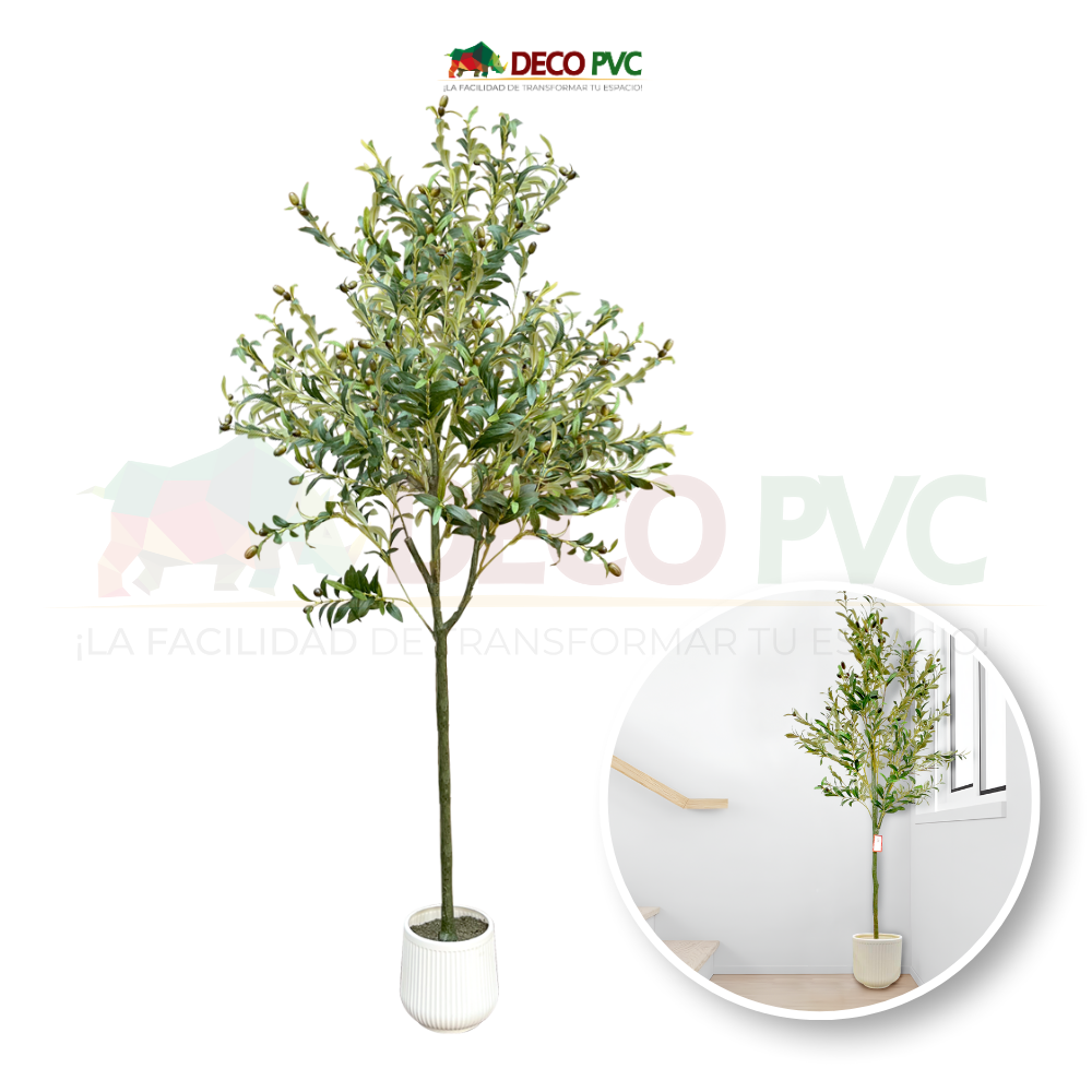 Planta Olivo con maceta - DECOFLORA®