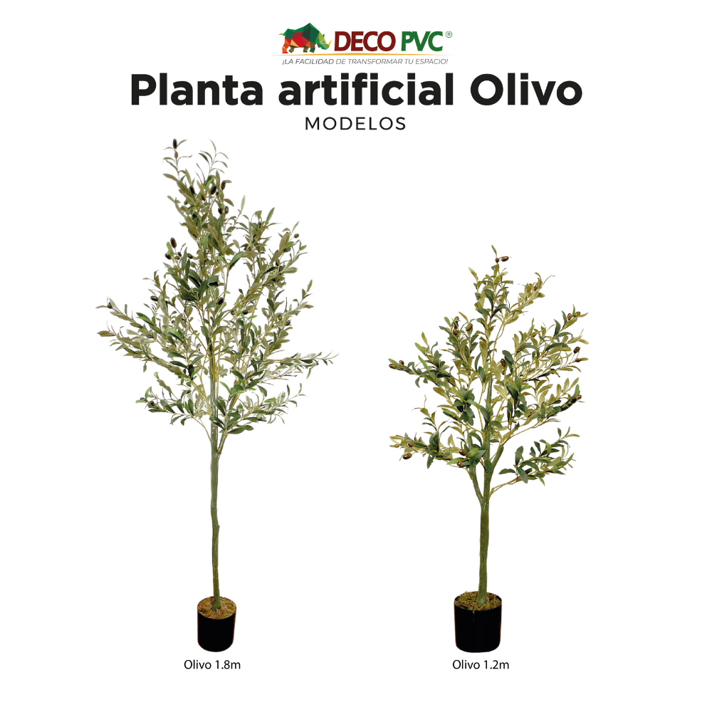 Planta Olivo - DECOFLORA®