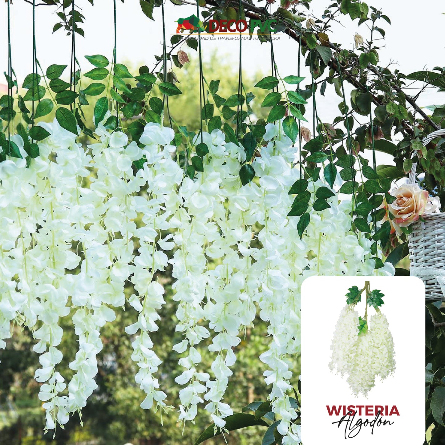 Guias Florales Wisterias - DECOFLORA®