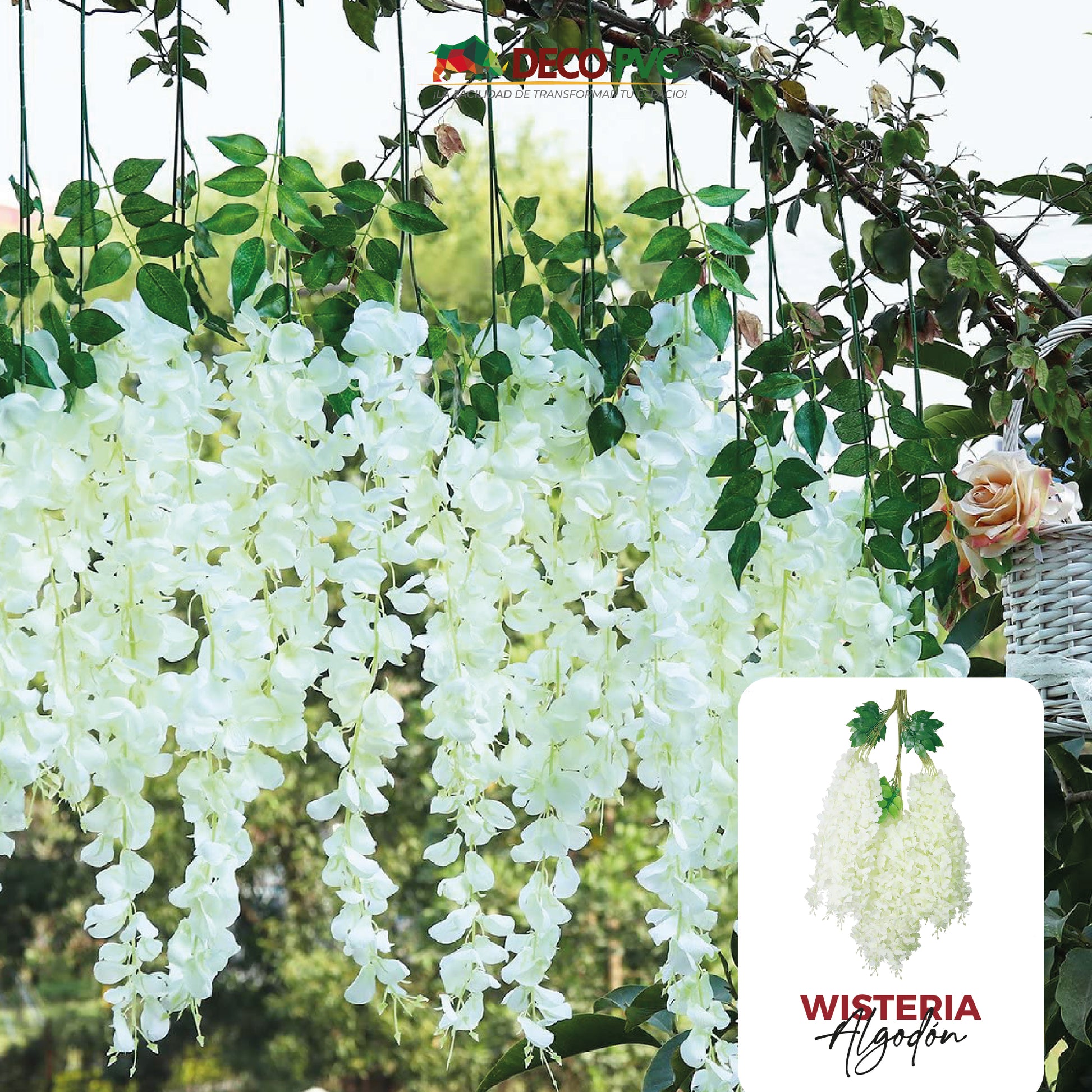 Guias Florales Wisterias - DECOFLORA®
