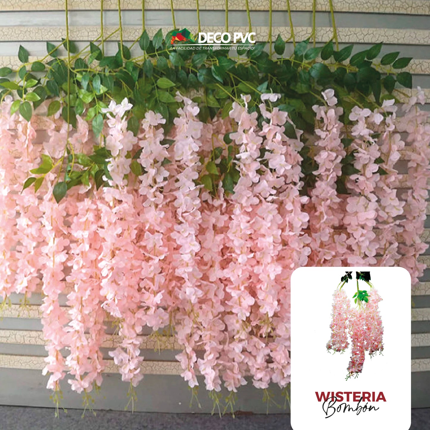 Guias Florales Wisterias - DECOFLORA®