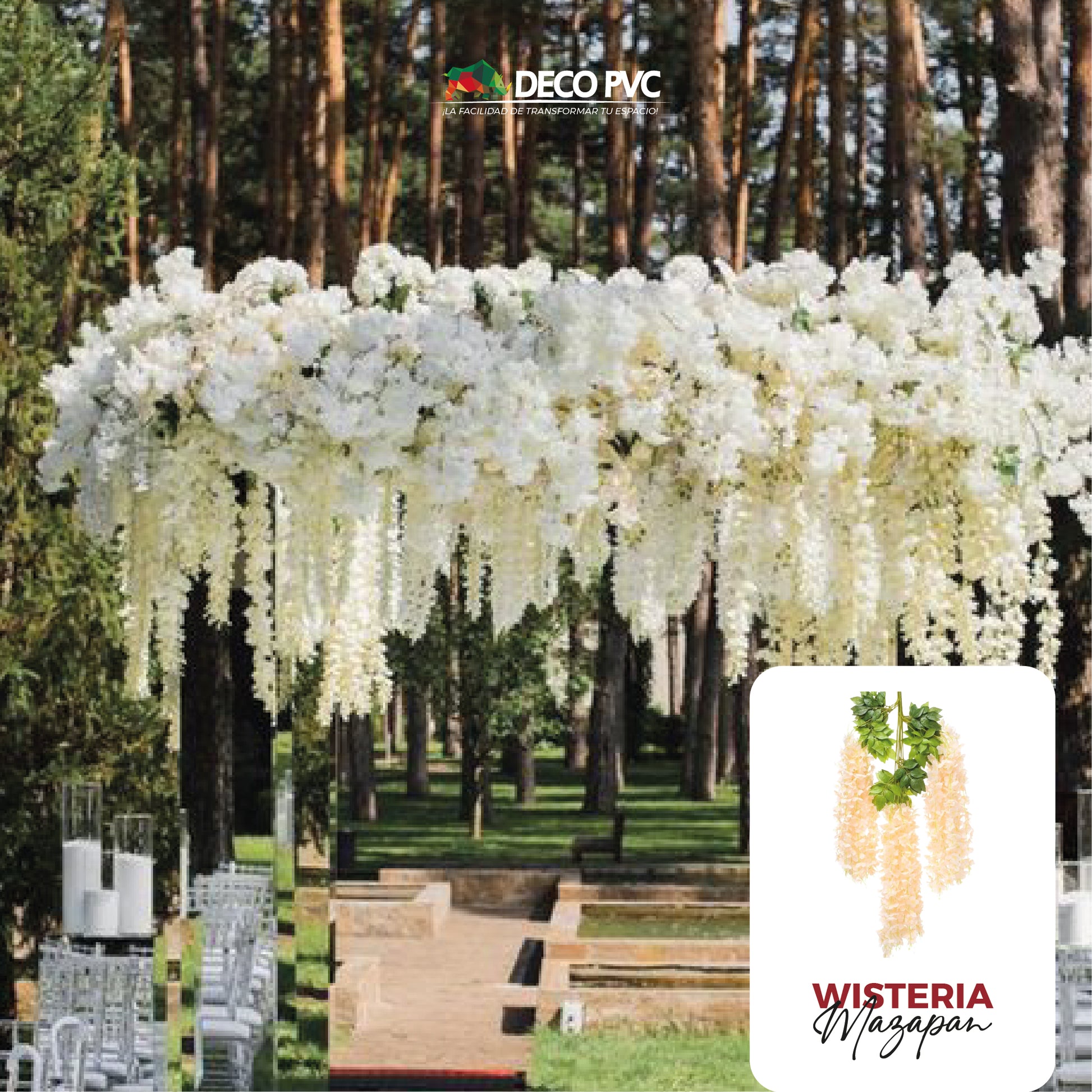 Guias Florales Wisterias - DECOFLORA®