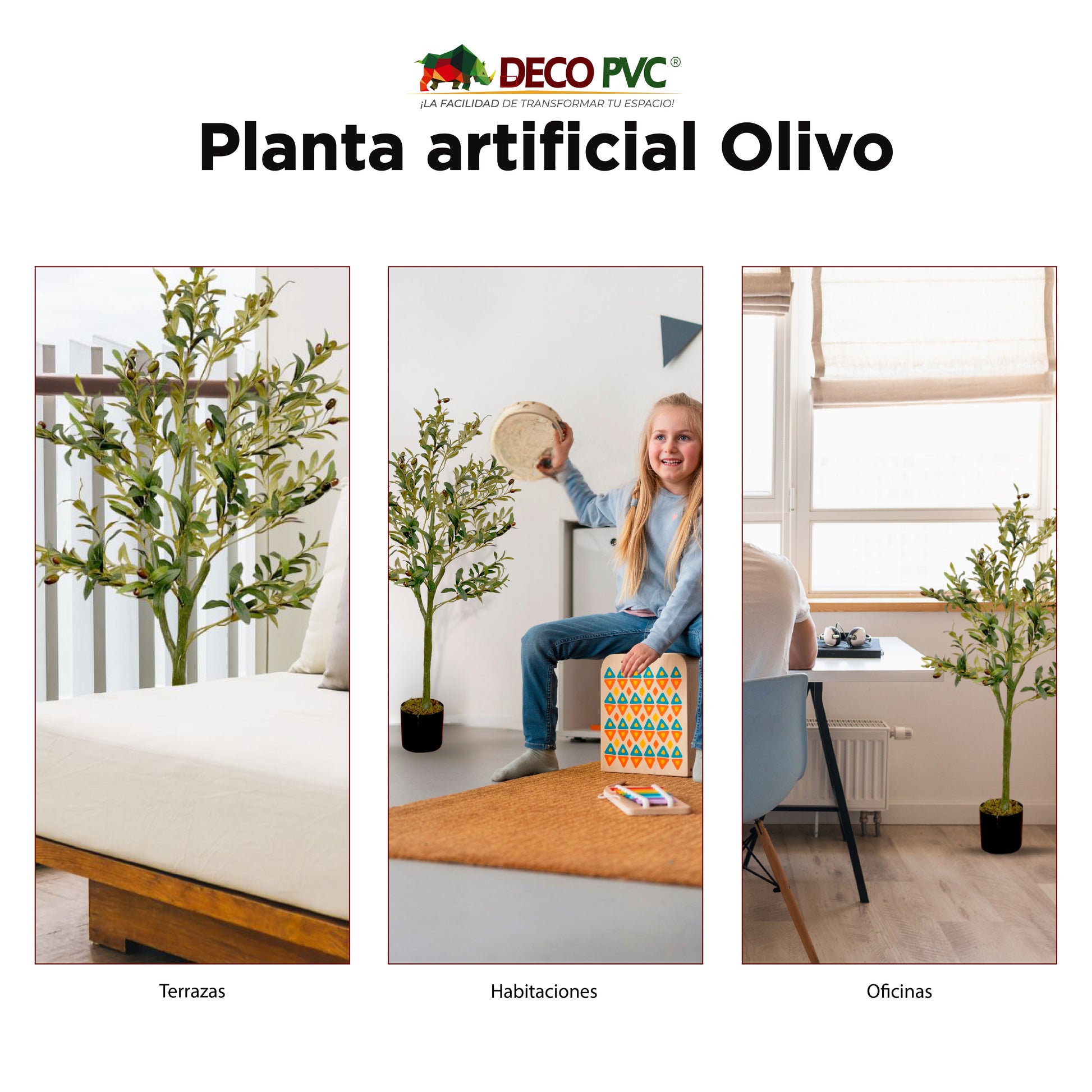Planta Olivo - DECOFLORA®