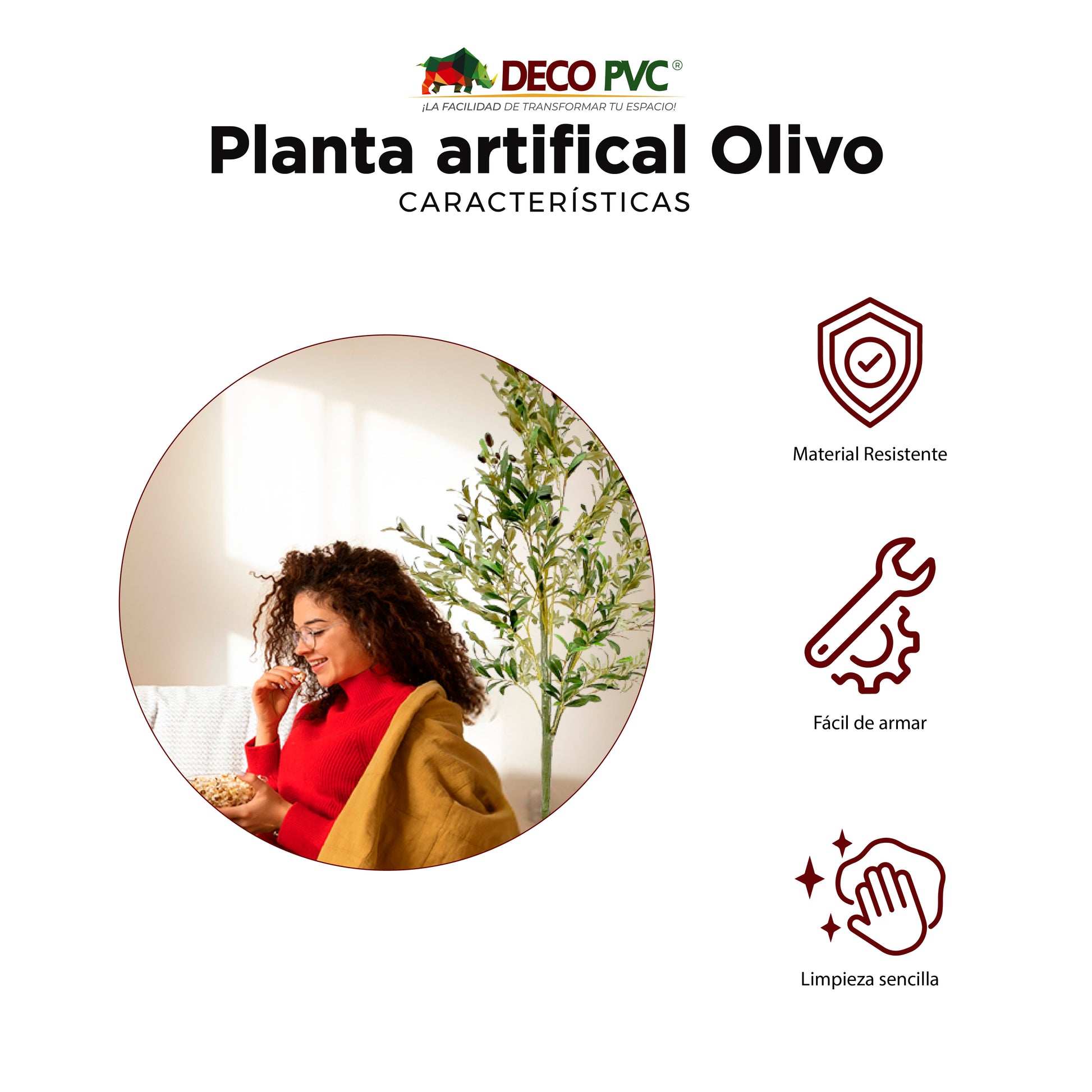 Planta Olivo - DECOFLORA®