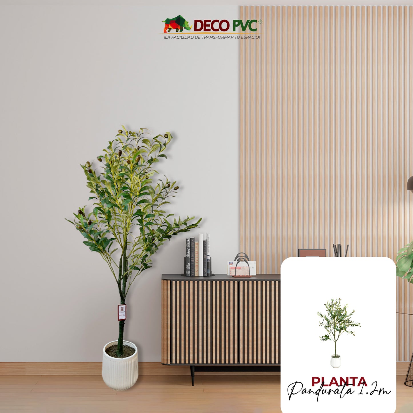 Planta Olivo con maceta - DECOFLORA®
