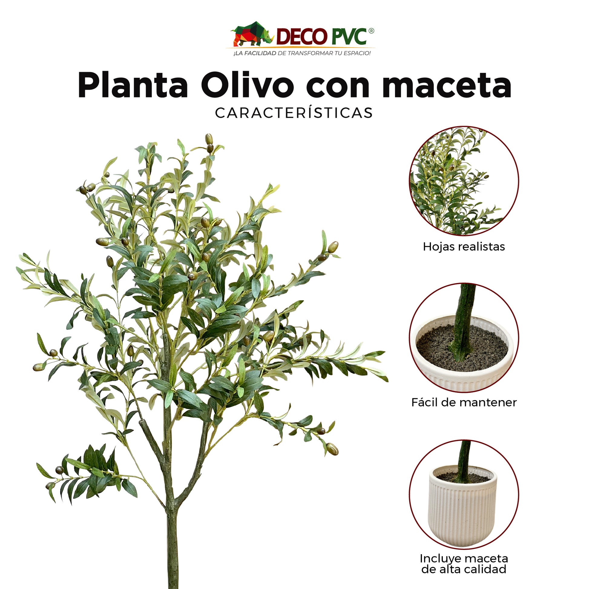 Planta Olivo con maceta - DECOFLORA®