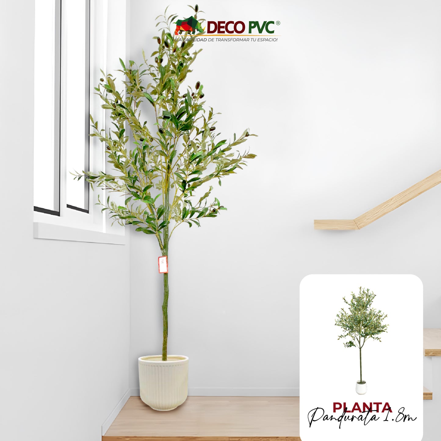 Planta Olivo con maceta - DECOFLORA®