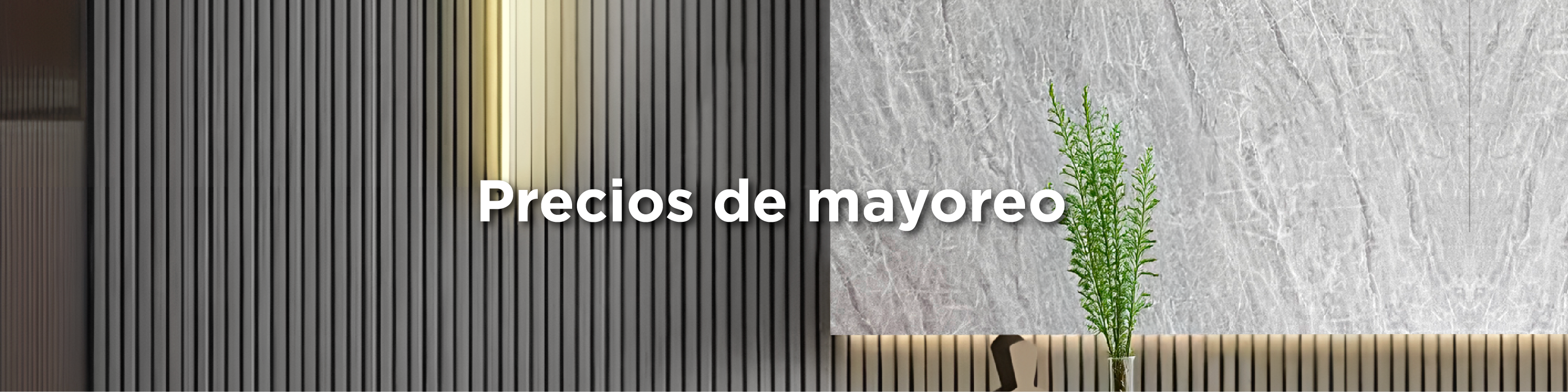 Banner de promoción 1