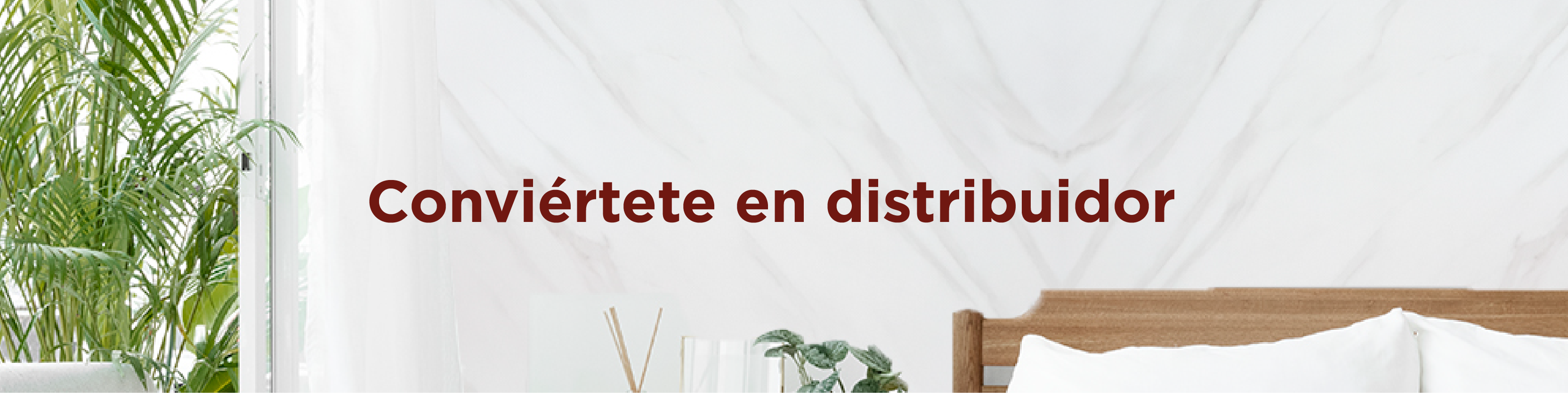 Banner de promoción 1