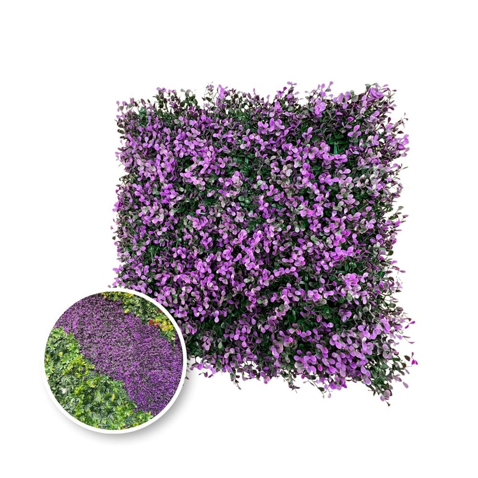 Muro Verde - DECOFLORA®Arrayan morado